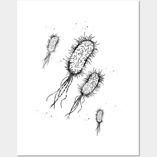 Escherichia coli Posters and Art